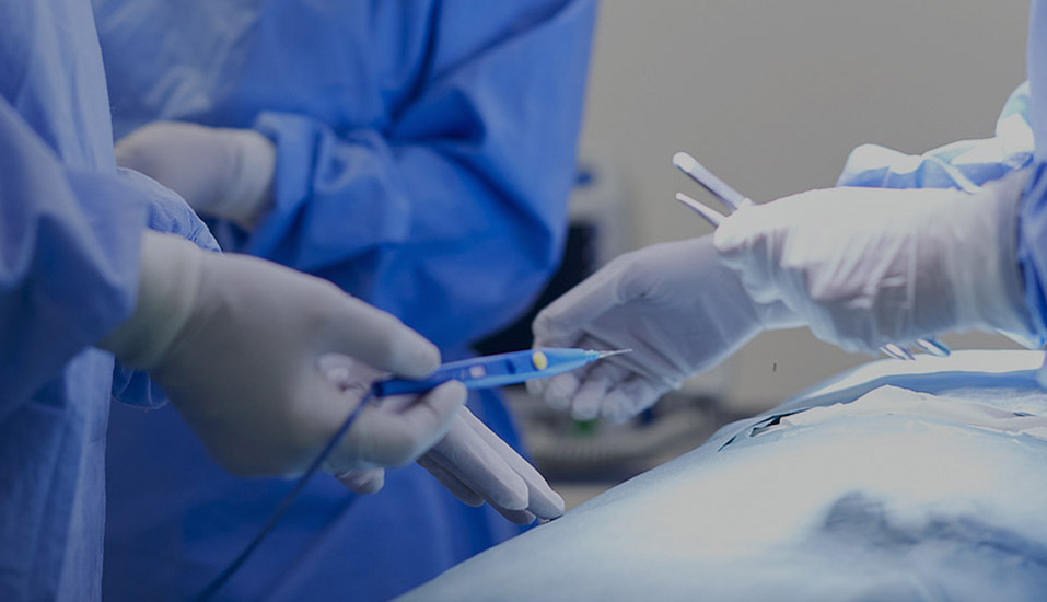 Teknologi Medis Eray (Nantong) Co., Ltd.